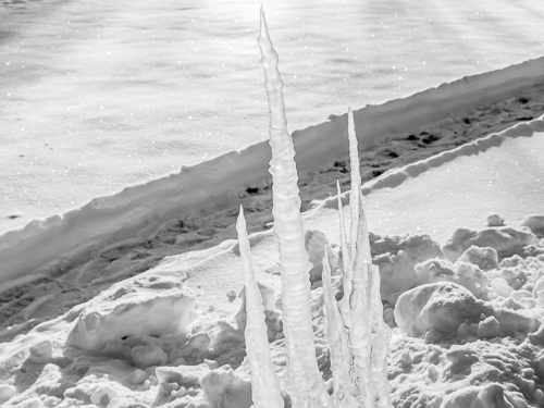 black and white, closeup of icicles lit by sun, pathway in snow
